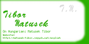 tibor matusek business card